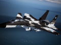 F-15S/MTD -Grabacr Camo-