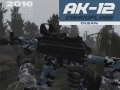 AK-12 (2016) Camouflage
