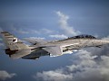 F-14D -Snowbirds-