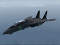 F-14D -FERAL- (ACZ)
