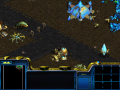 Starcraft Campaigns - Race Swapped Oct 2021 Update