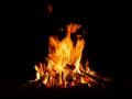 Campfires placeable 0.22