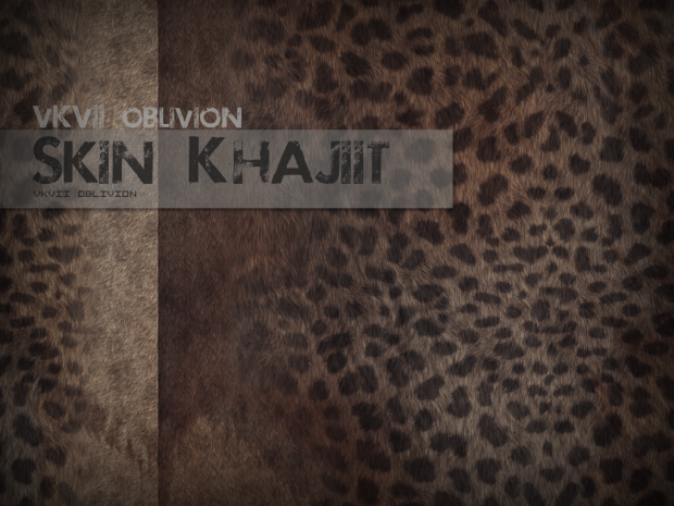 VKVII Oblivion Skin Khajiit v.2