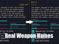 Real Weapon Names for Clear Sky