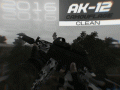 AK-12 (2016) Camouflage [update]