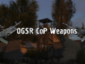 OGSR CoP Weapons HotFix