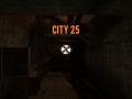 City 25