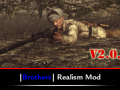 Brothers Realism Mod v2.0.9 (French) (updated)