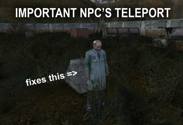 Important NPCs Teleport on Spawn