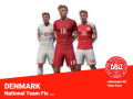 Denmark National Team Fix V1.0.0