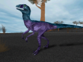Dakotaraptor