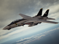 F-14A -Swordsman-