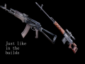 AKM-74/2 and SVDm-2 textures from SoC builds