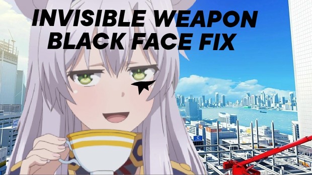 invisible weapon incorrect faces FIX