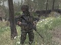 Modern Enemy - Al Assad Fighters