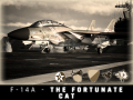 F-14A - The Fortunate Cat