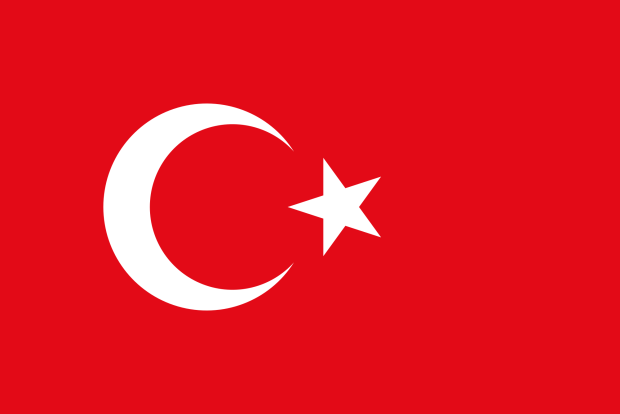 Papers Please Turkey Mod