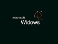 Macrasoft Widows - new computer screens for a computer