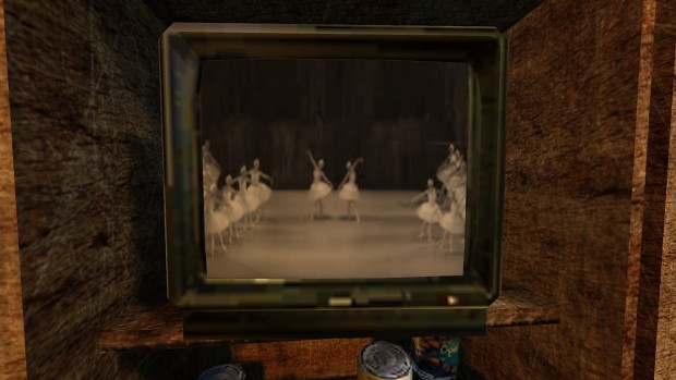 Ballet Swan Lake on TV