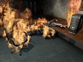 Counter Strike Source ZERO (beta3.6)