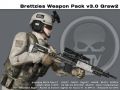 Brettzies Weapon Pack v3.02 - Graw2