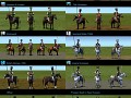 Royal and Imperial Cuirassier Texture Pack
