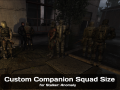 Custom Companion Squad Size for Anomaly 1.5.1 and 1.5.2