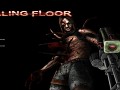 Killing Floor Mod   Remove HUD Effects