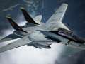 F-14A -Full Accuracy Wardog-