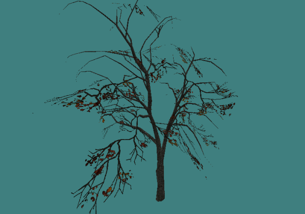 tree deciduous xx1a