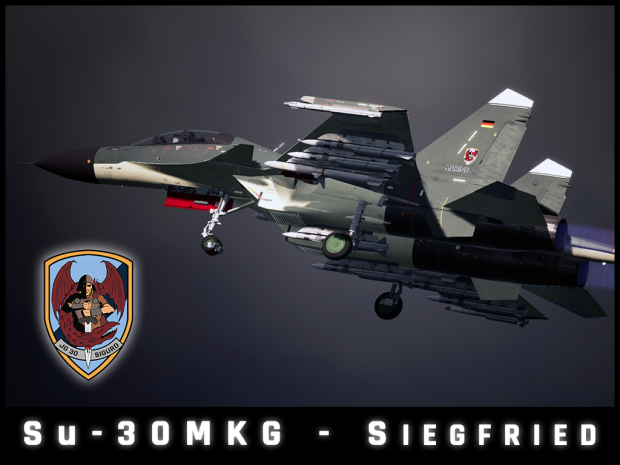 Su-30MKG - Siegfried (Custom Skin plus NATO Type Weapons Module)