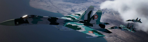Su-27 Flanker-B Model-Swap
