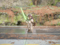 Ewok to Yoda