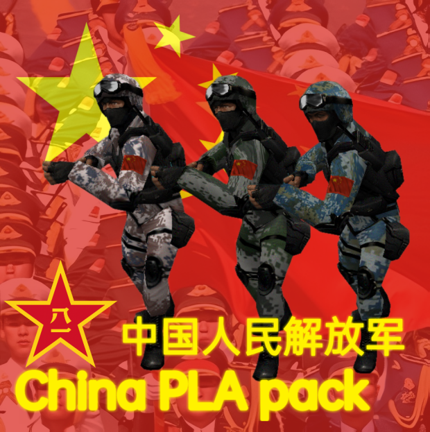 China PLA pack（ct）