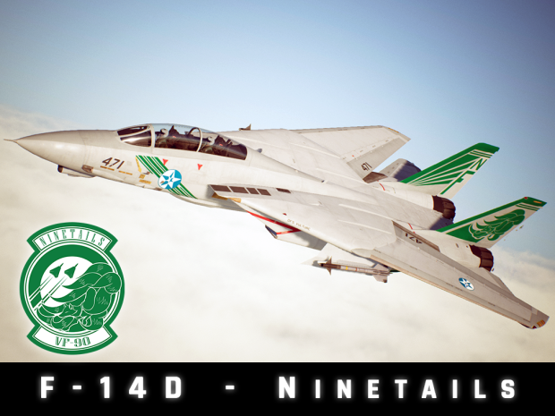 F-14D - Ninetails