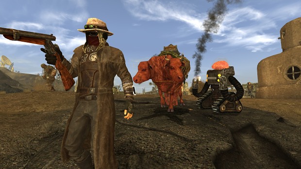 New Vegas Uncut -- Betsy the Brahmin Remastered, Fixed and Upgraded