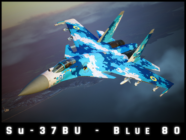 Su-37BU - Blue 80