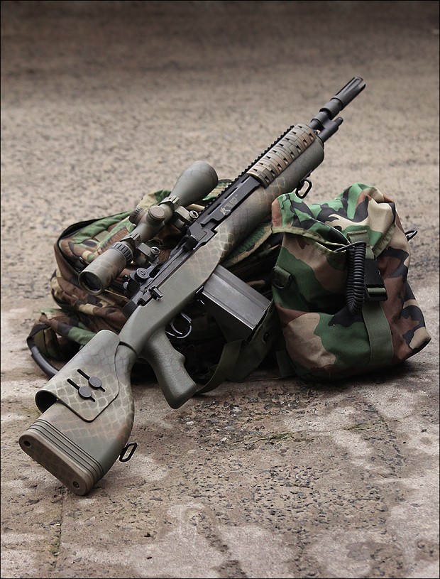 TAZ M14 DMR and Ruger 556