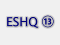 ESHQ update to v 13.8.3