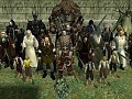 Lord of the Rings Skin Pack