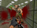 SDMXII's personalized Brutal Doom v20