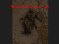 Reworked corpse loot