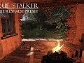 True STALKER True Preset 1.1