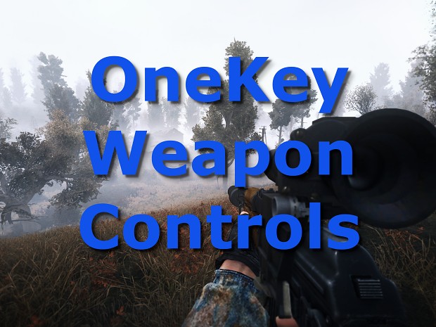 OneKey Weapon Controls 1.0.3 [GAMMA/Mags Redux/Ammo Check]