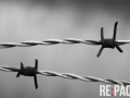 RE:PACK Barbed Wire 1.1