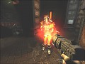Quake II: Lost Marine (Test Build 0.96)