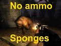 No ammo sponges