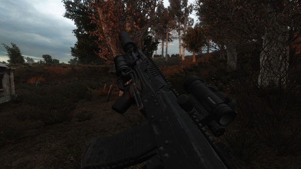 AK-12 Reanimation