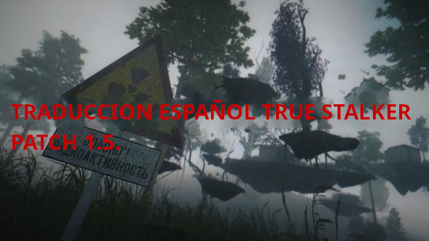 TRADUCCION ESPAÑOL TRUE STALKER (REVISION)