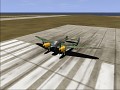 "Former AI aircraft", for early versions of the game